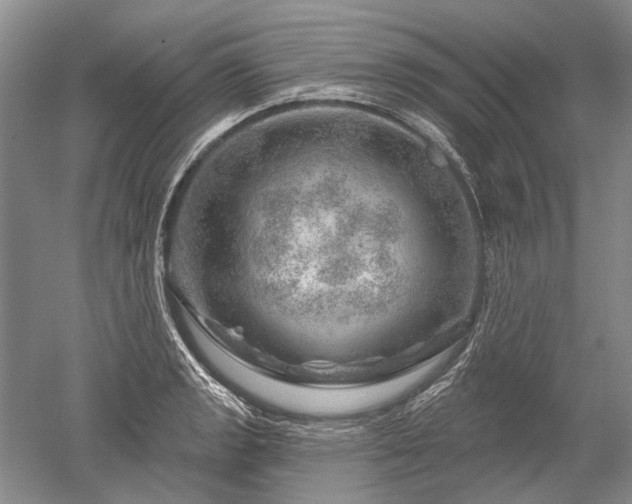 X0000052641133200507081958