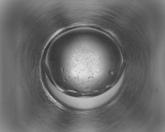 X0000052641134200507081958