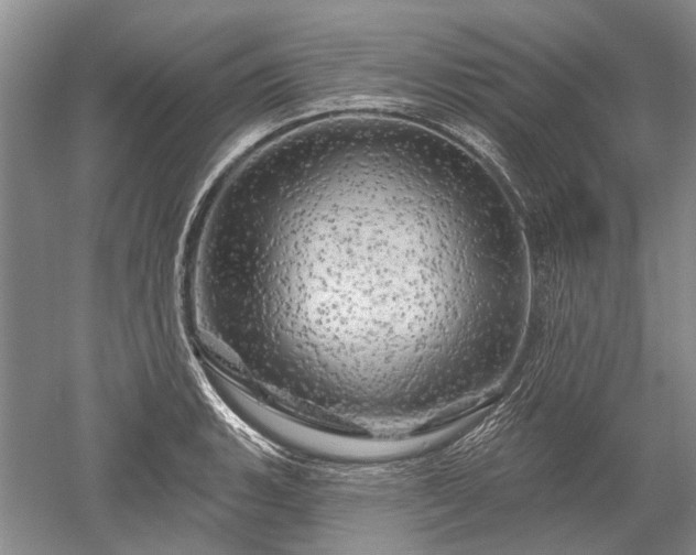 X0000052641135200507081958