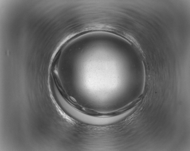 X0000052641136200507081958