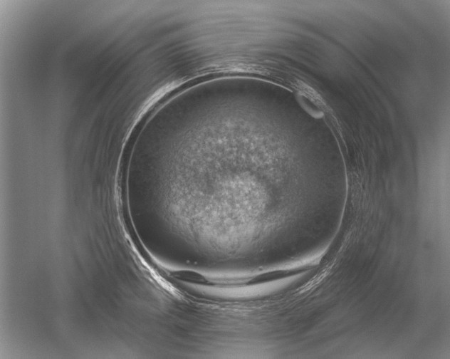 X0000052641141200507081959