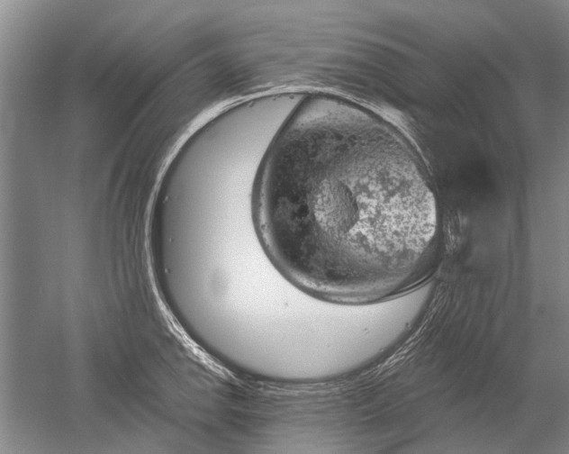 X0000052641142200507081959