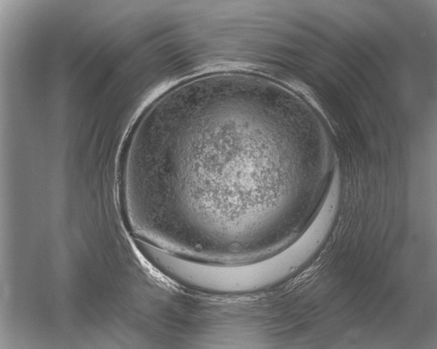 X0000052641143200507081959