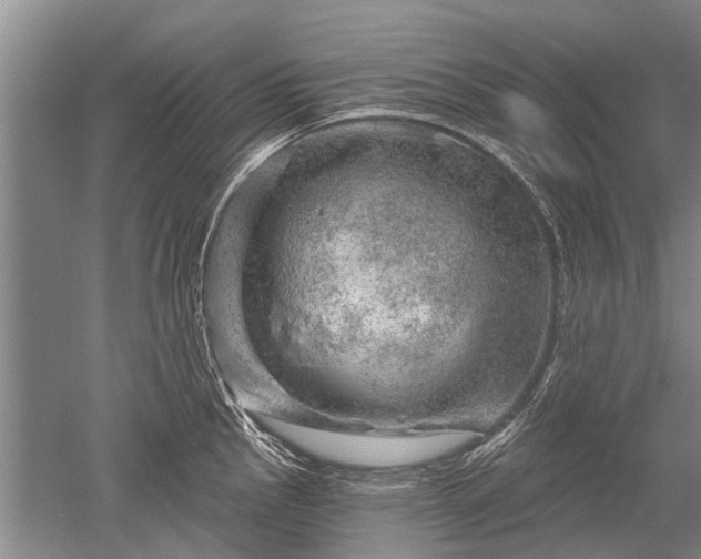 X0000052641145200507081959