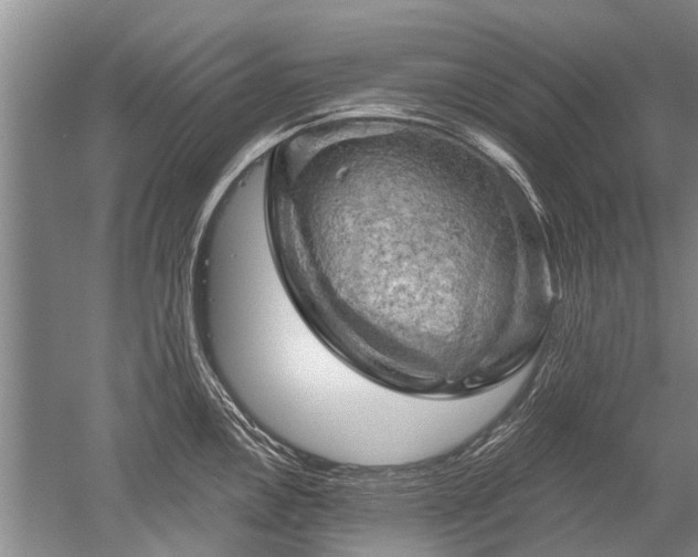 X0000052641146200507081959