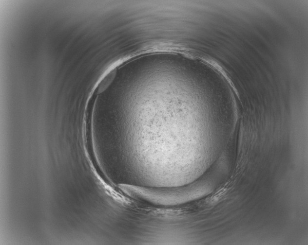 X0000052641147200507081959