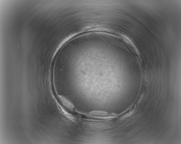 X0000052641149200507081959