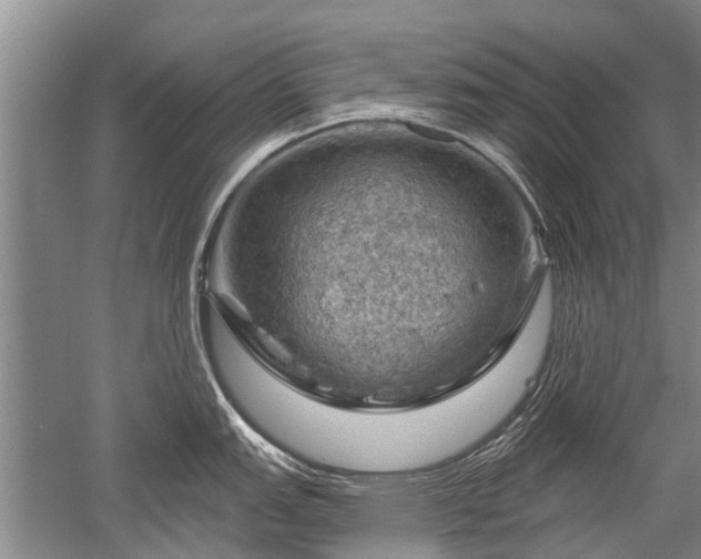 X0000052641151200507081959