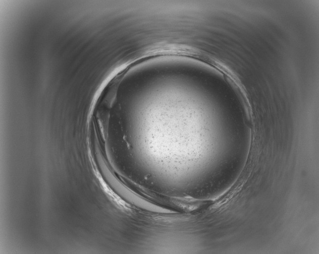 X0000052641152200507081959