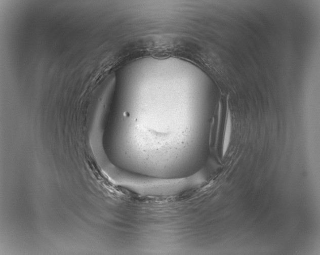 X0000052641153200507081958