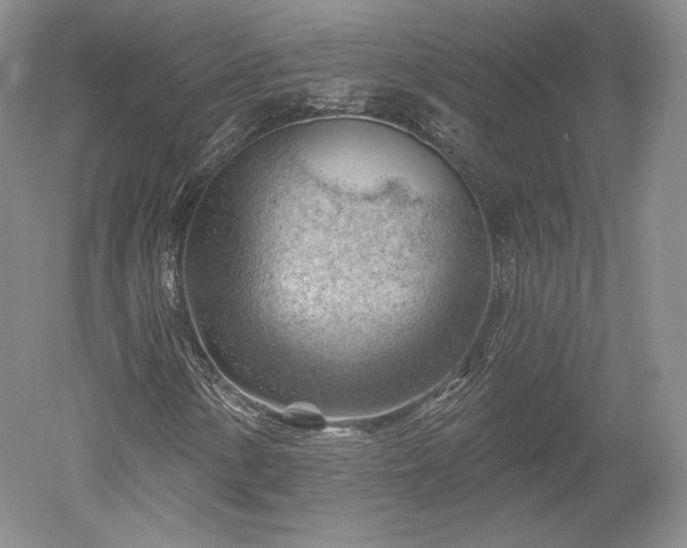 X0000052641154200507081958