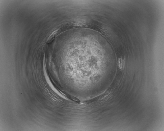 X0000052641155200507081958