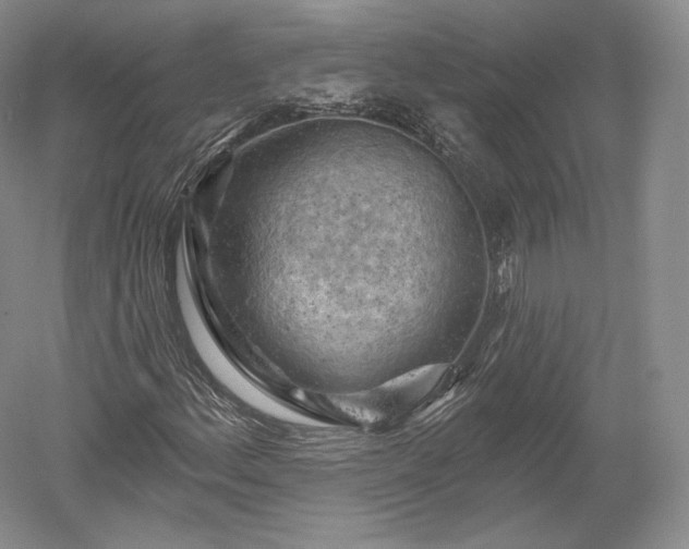 X0000052641156200507081958