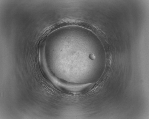 X0000052641157200507081958