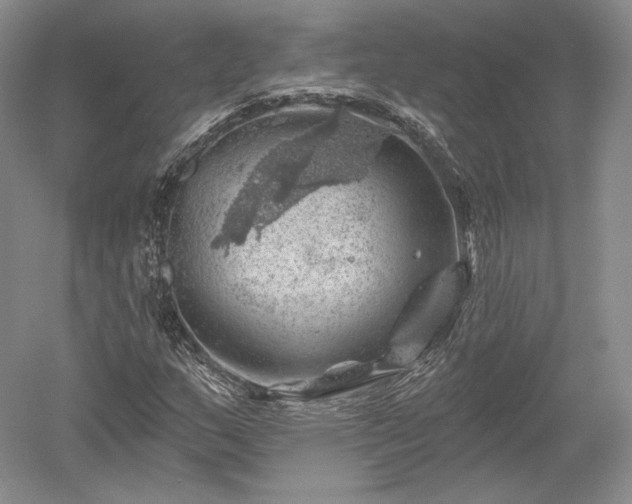 X0000052641159200507081958