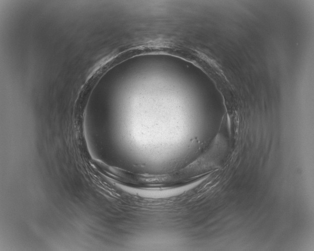 X0000052641160200507081958