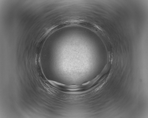 X0000052641161200507081958