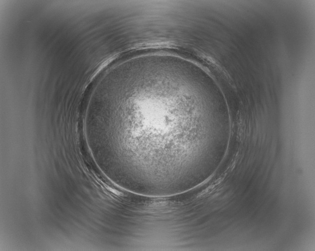 X0000052641162200507081958