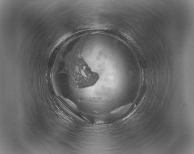 X0000052641163200507081958