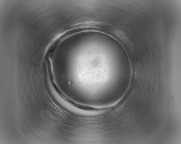 X0000052641164200507081958