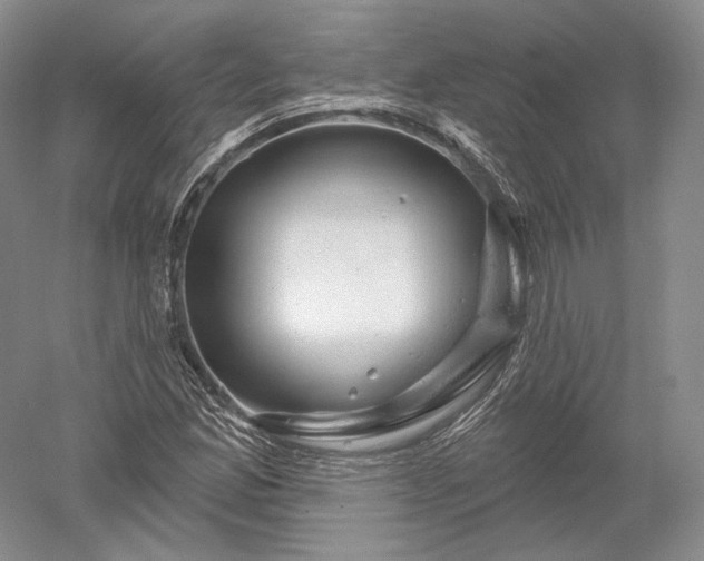 X0000052641165200507081958