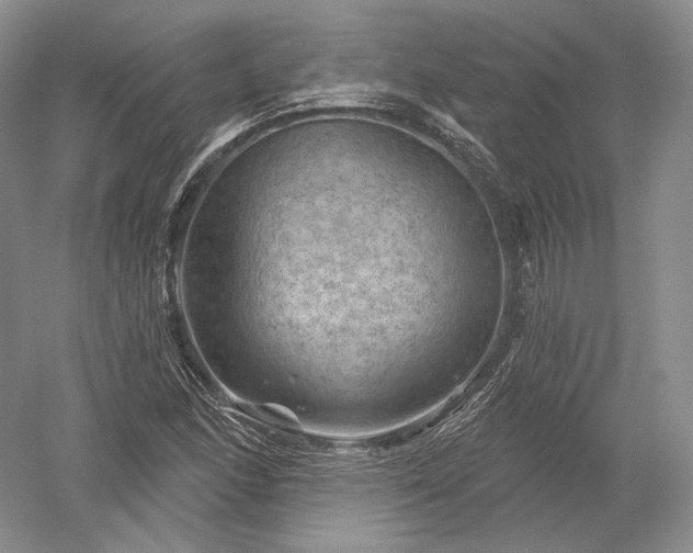 X0000052641166200507081958