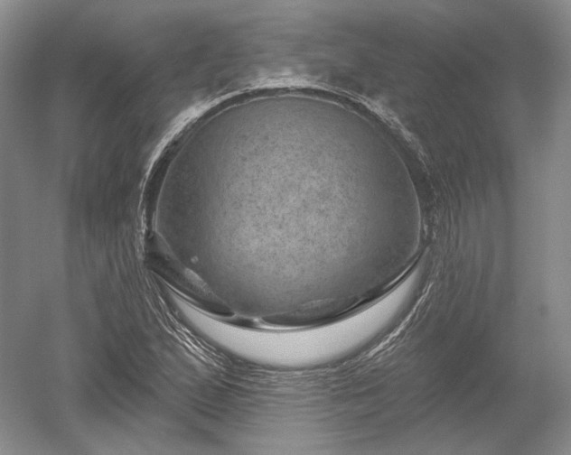 X0000052641167200507081958