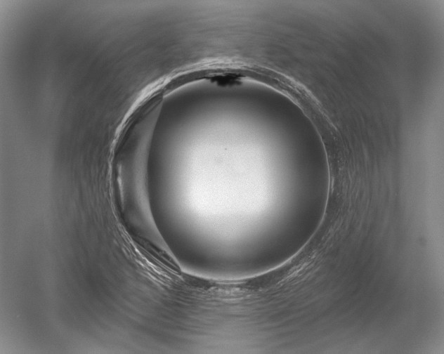 X0000052641168200507081958