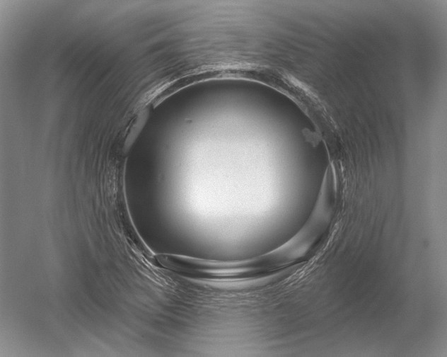 X0000052641169200507081958