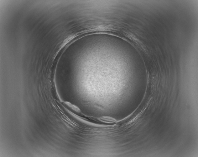 X0000052641170200507081958