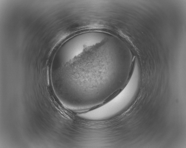 X0000052641171200507081958