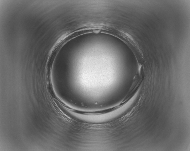 X0000052641172200507081958