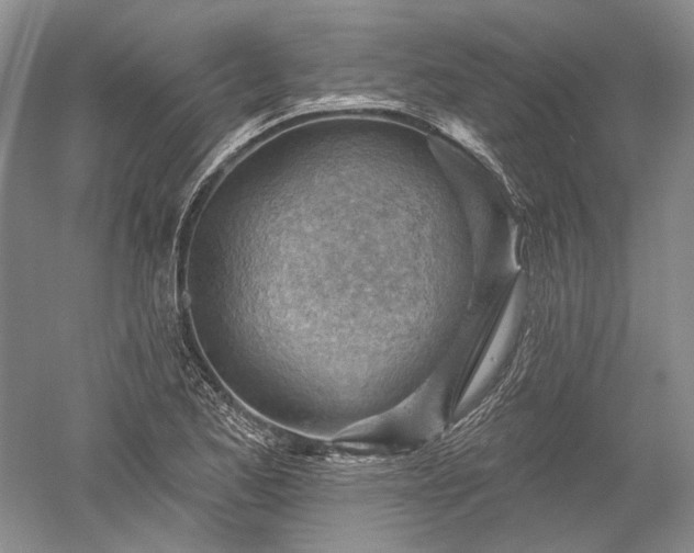 X0000052641173200507081958