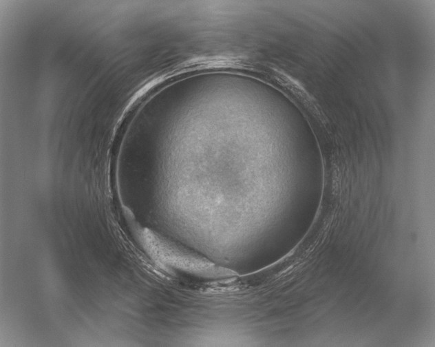 X0000052641174200507081958