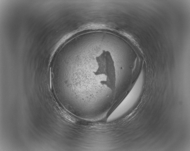 X0000052641175200507081958