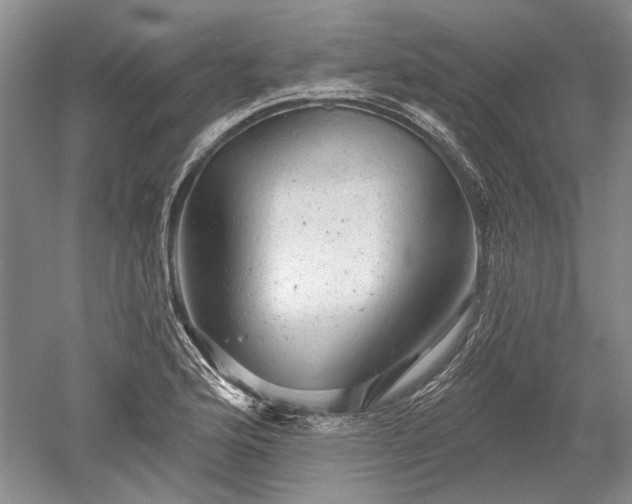 X0000052641176200507081958