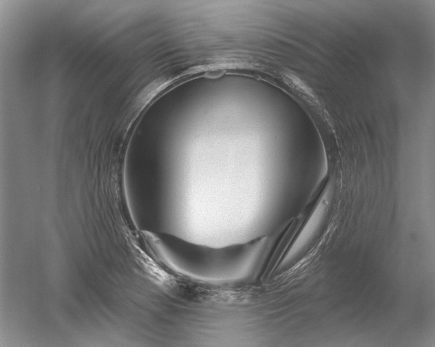 X0000052641177200507081958