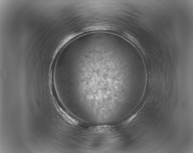 X0000052641179200507081957