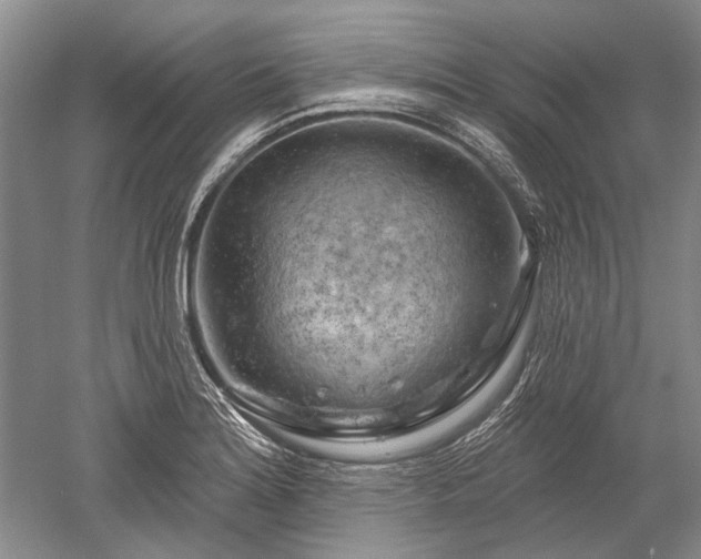 X0000052641180200507081957