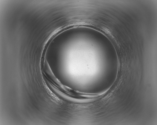 X0000052641181200507081957