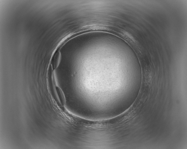 X0000052641182200507081957