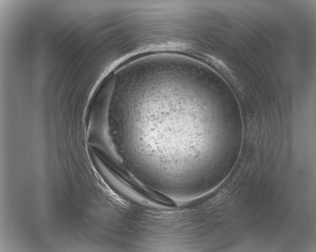 X0000052641184200507081957