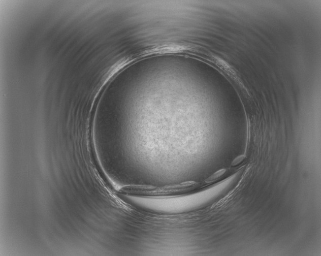 X0000052641186200507081957