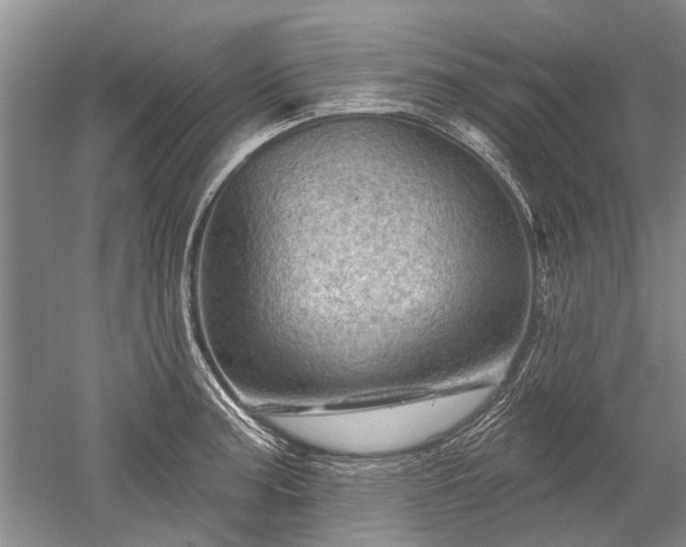 X0000052641187200507081957