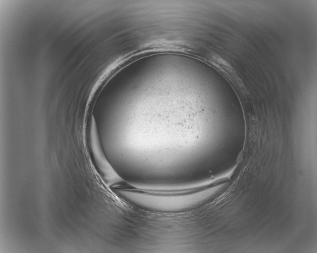 X0000052641188200507081957