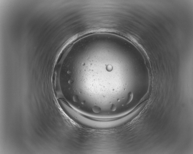 X0000052641189200507081957