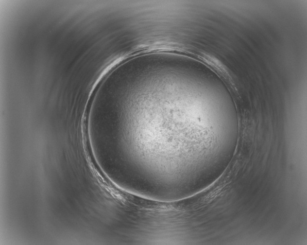 X0000052641190200507081957