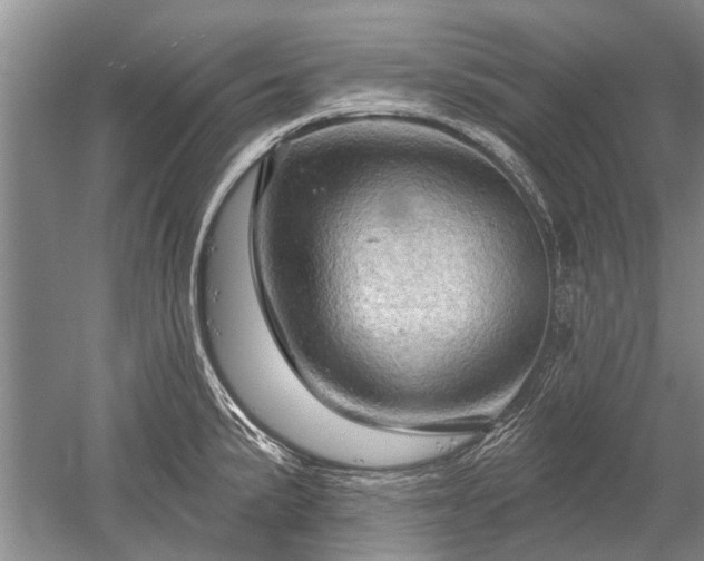 X0000052641191200507081957