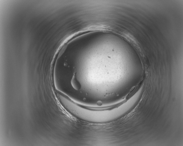 X0000052641192200507081957