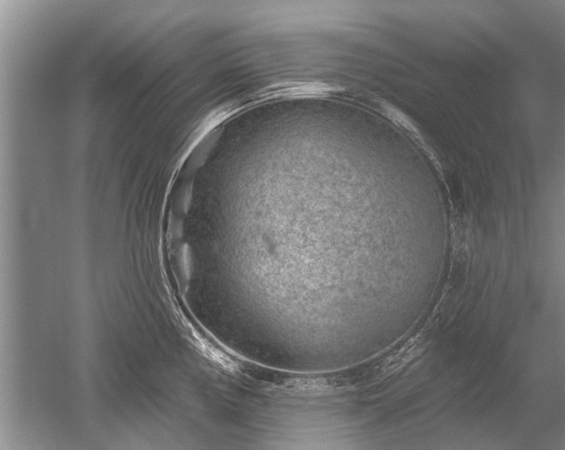 X0000052641194200507081957